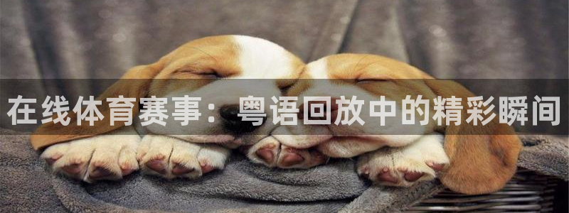 88看球免费直播回放：在线体育赛事：粤语回放中的精彩瞬间