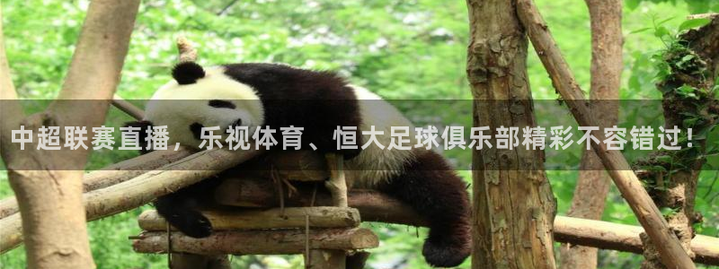 nba88看球在线直播：中超联赛直播，乐视体育、恒大足球俱乐部精彩不容错过！