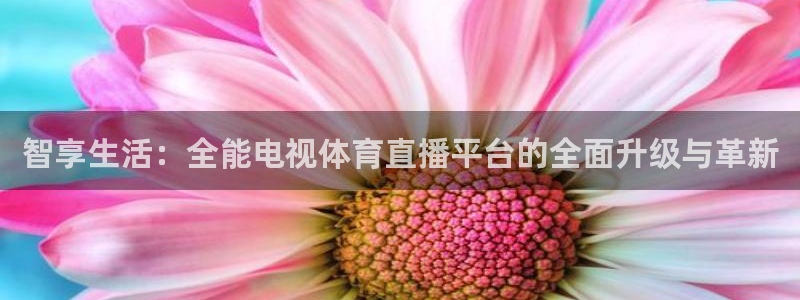 188看球网nba直播在线观看免费：智享生活：全能电视体育直播平台的全面升级与革新