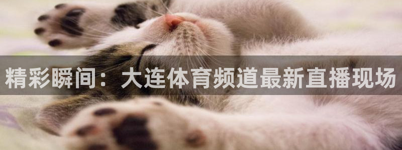88看球:足球直播_nba线上看_免费体育直播：精彩瞬间：大连体育频道最新直播现场