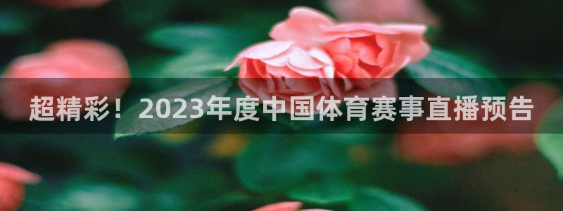 888看球nba直播视频在线直播：超精彩！2023年度中国体育赛事直播预告