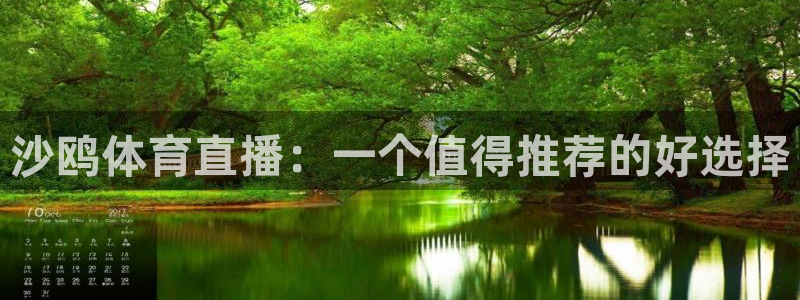 888看球直播：沙鸥体育直播：一个值得推荐的好选择