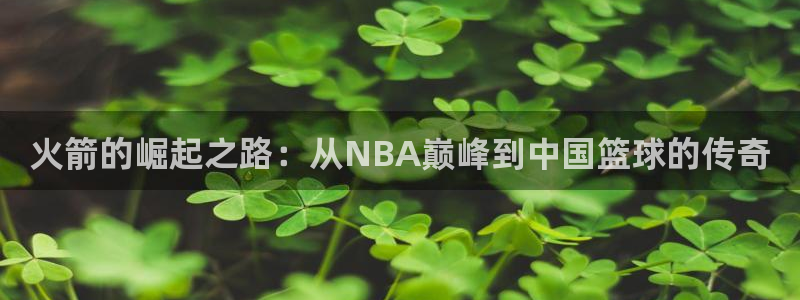 888看球nba直播免费：火箭的崛起之路：从NBA巅峰到中国篮球的传奇