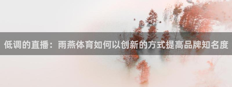 88看球英超直播：低调的直播：雨燕体育如何以创新的方式提高品牌知名度