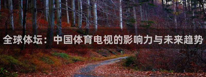 88看球免费直播官网：全球体坛：中国体育电视的影响力与未来趋势