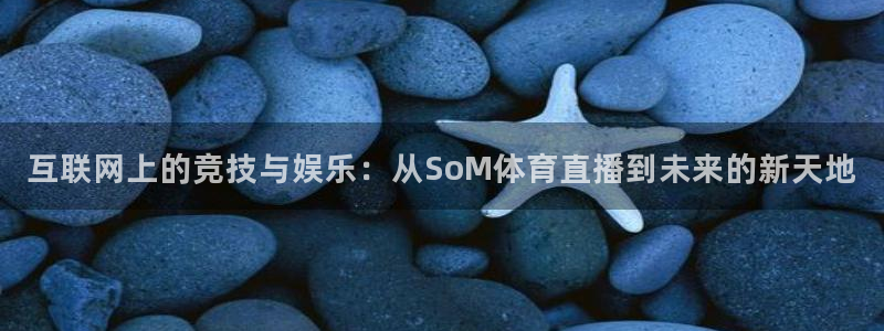 nba88看球在线直播：互联网上的竞技与娱乐：从SoM体育直播到未来的新天地