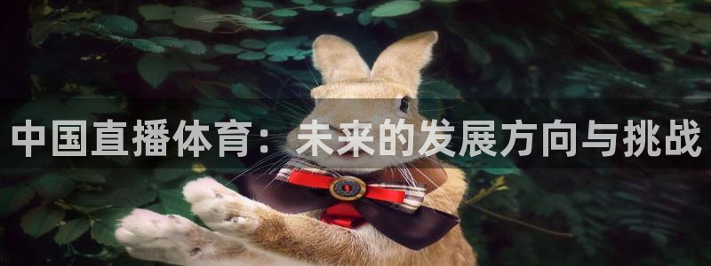 88看球网nba在线直播观看：中国直播体育：未来的发展方向与挑战