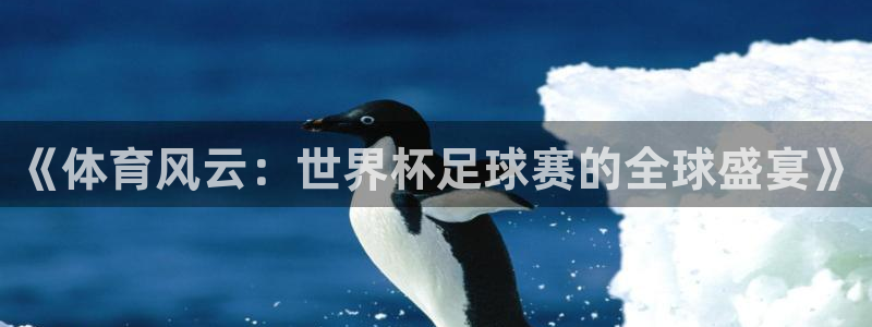 88看球直播nba免费：《体育风云：世界杯足球赛的全球盛宴》